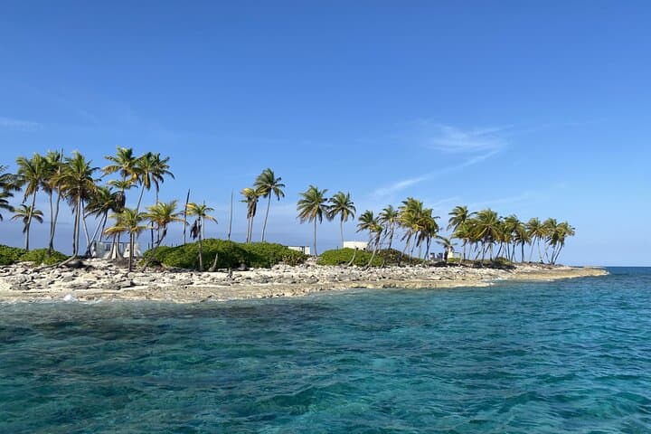Private Beach Day Snorkeling & Swimming Pigs on Rose Island, Bahamas photo 3