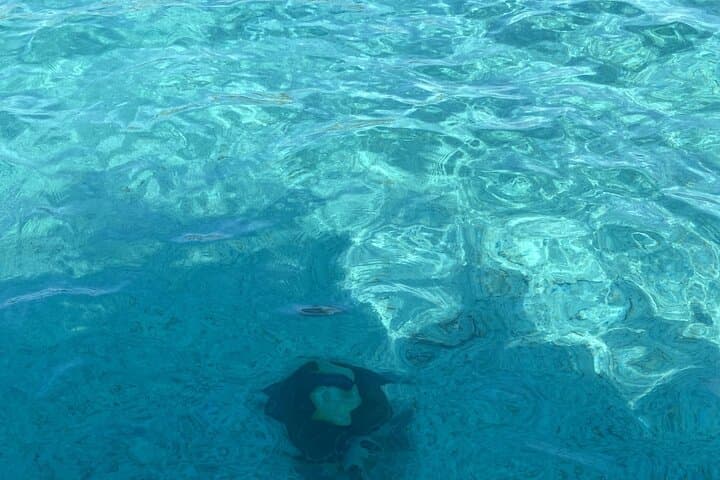 Private Beach Day Snorkeling & Swimming Pigs on Rose Island, Bahamas photo 4