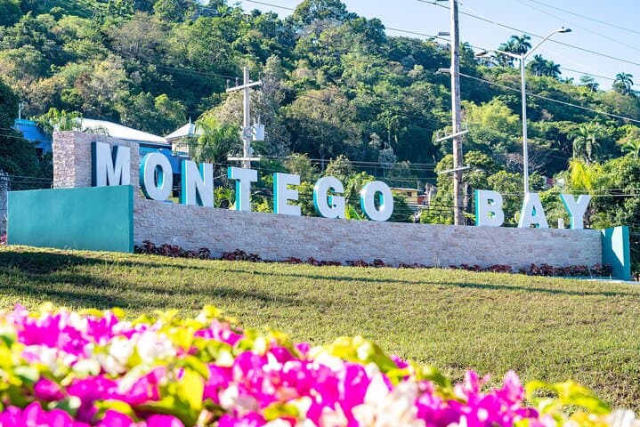 7-Day Jamaica North Coast Eco Adventure: Blue Hole, Rio Grande Rafting, and Blue Mountain Coffee photo 4