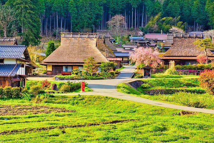 Amanohashidate, Ine Funaya & Miyama Thatched Village: Day Tour from Osaka photo 5