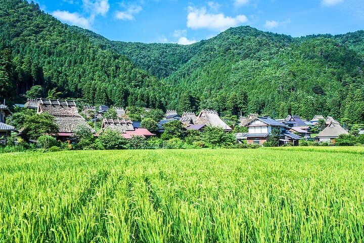 Amanohashidate, Ine Funaya & Miyama Thatched Village: Day Tour from Osaka photo 6
