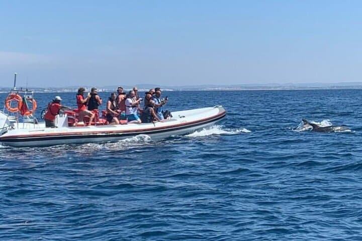 Vilamoura Dolphin Safari to São Rafael Caves — 2‑Hour Coastal Cruise photo 4