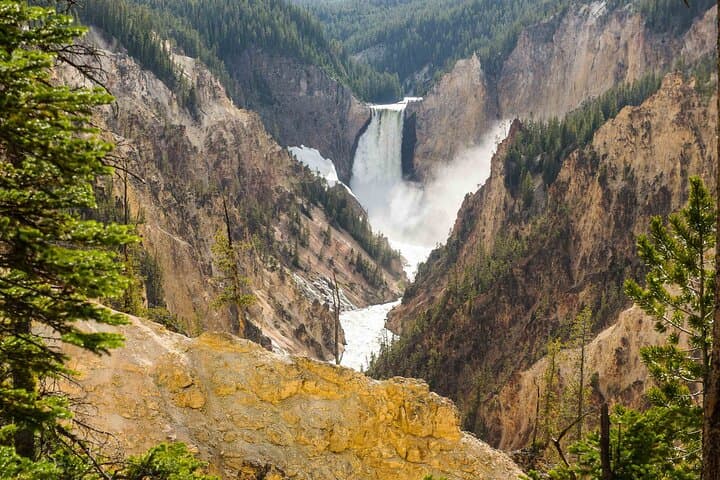 Yellowstone Private Full-Day Tour: Wildlife, Geysers & Hidden Hot Springs