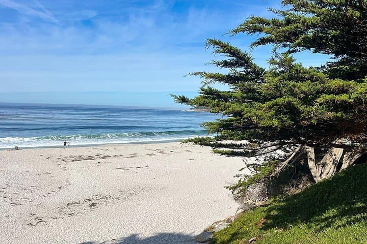 3-Day Private Pacific Coast Tour: Big Sur, Hearst Castle & Carmel from Los Angeles photo 1