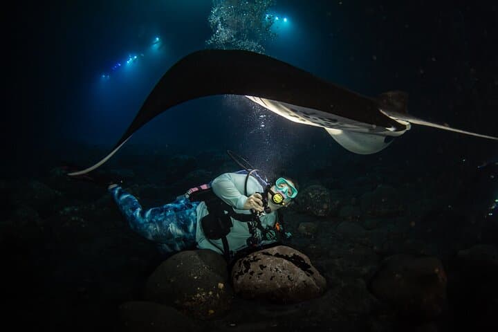 Kona One-Tank Manta Night Dive & Snorkel — Evening Manta Ray Encounter photo 2