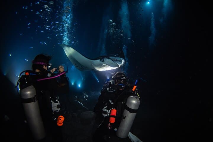 Kona One-Tank Manta Night Dive & Snorkel — Evening Manta Ray Encounter photo 5