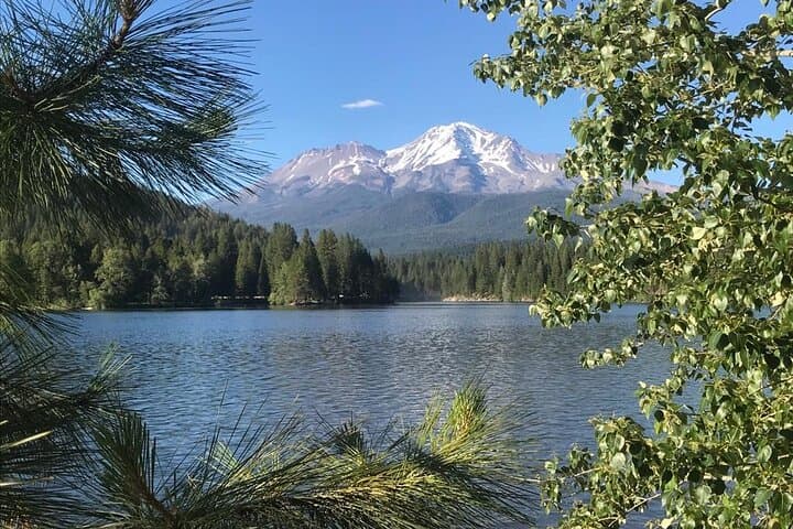 Mount Shasta Galactic Origins Tour: Sacred Sites, Chart Reading & Energy Session photo 4