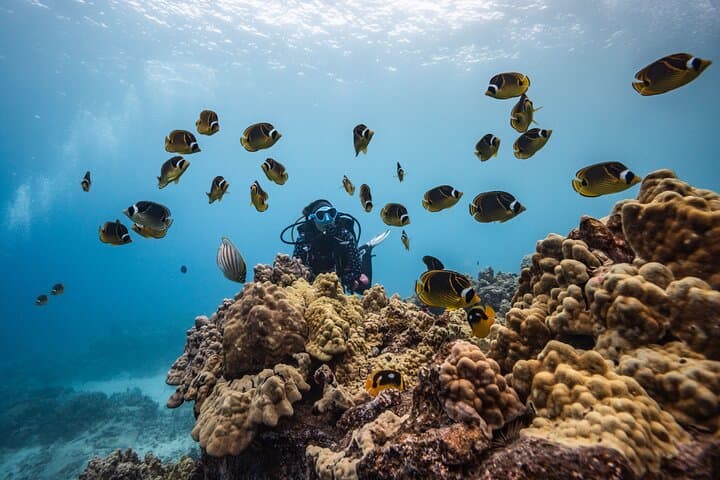 Kona Two-Tank Morning Reef Dive & Snorkel — Best Marine Life Encounters photo 4