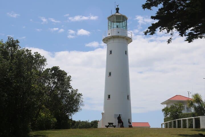 Tiritiri Matangi Island Discovery: Guided Ferry Trip From Auckland photo 5