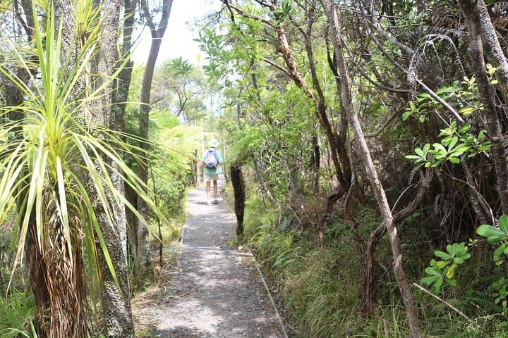 Tiritiri Matangi Island Discovery: Guided Ferry Trip From Auckland photo 6