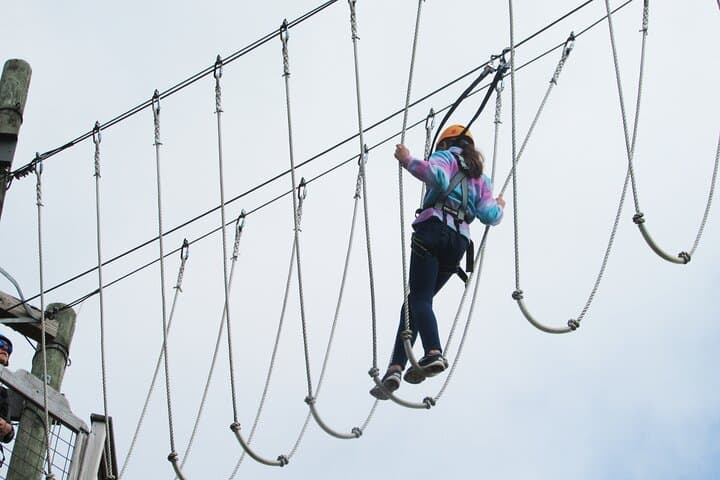 Skybound Challenges: Basecamp Aerial Ropes Course in Moundsville, WV photo 5