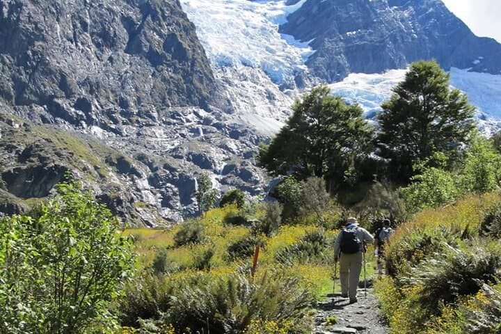 Rob Roy Glacier Guided Walk: Wanaka’s One-Day Alpine Trek photo 4