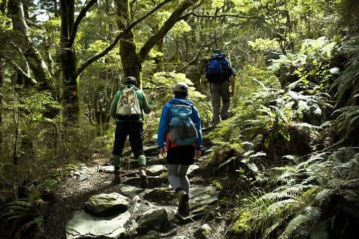 Rob Roy Glacier Guided Walk: Wanaka’s One-Day Alpine Trek photo 2