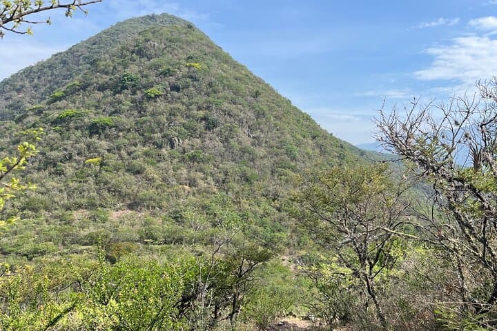 Full-Day Teotitlán del Valle Private Tour: Hike, Weaving & Mezcal from Oaxaca photo 4