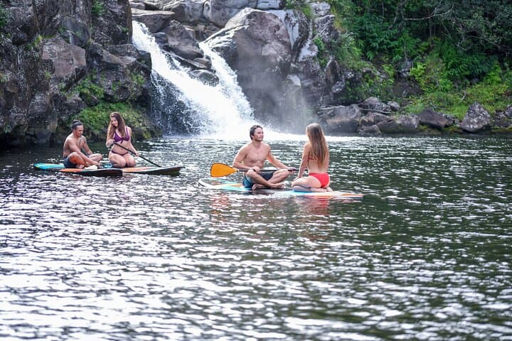 Umauma Falls Private Waterfall and River Swim — Big Island Kayak, SUP & Swim photo 2