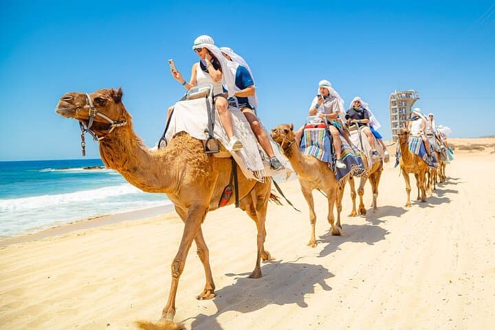 Cabo UTV and Camel Ride Combo: Baja Desert and Beach Adventure photo 6