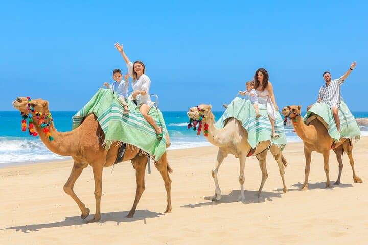Sky Bike & Beach Safari in Cabo: Camel Ride, Horseback and Tequila Tasting photo 4