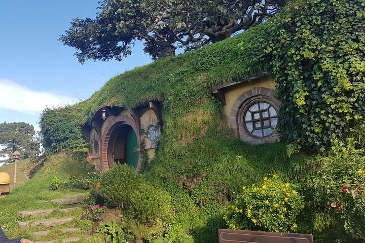 Luxury Hobbiton Afternoon Tour from Auckland by Minibus