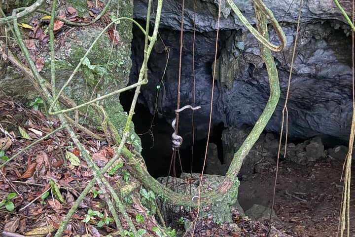Cueva Culebrones Night Tour — Bats and Puerto Rican Boas at Mata de Plátano photo 4