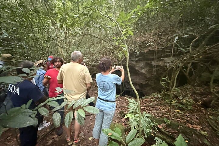 Cueva Culebrones Night Tour — Bats and Puerto Rican Boas at Mata de Plátano photo 6