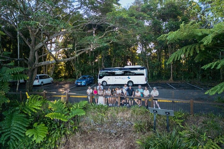 Climate-Positive Daintree & Mossman Gorge Eco Tour from Cairns photo 6