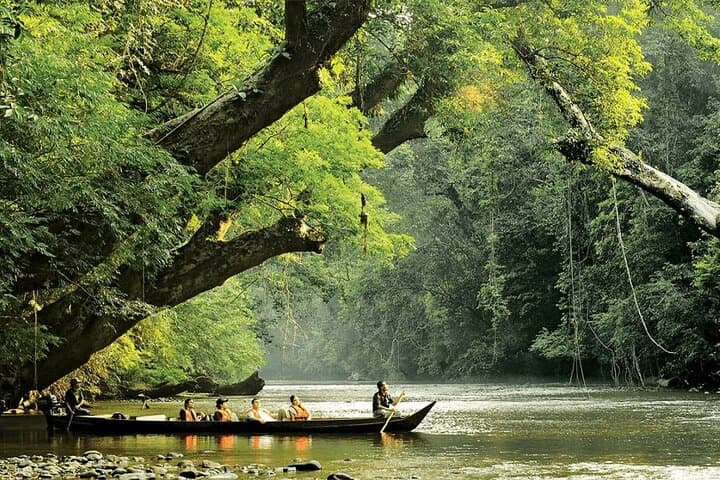 2-Day Taman Negara Rainforest Adventure: Canopy Walks, Night Trek & Orang Asli Village