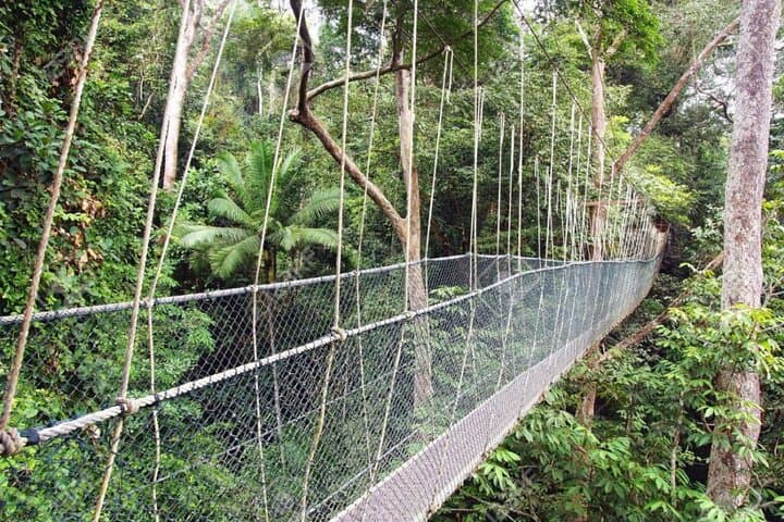 3-Day Kuala Lumpur to Taman Negara: Batu Caves, Elephants & Jungle Trek photo 3