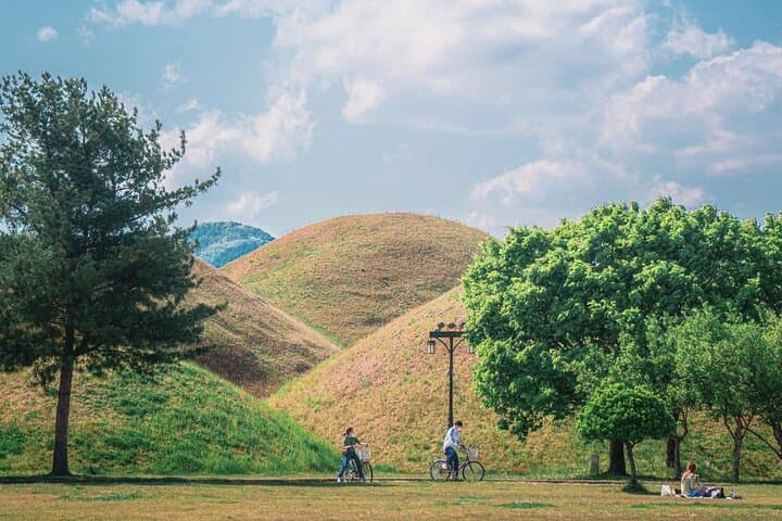 Explore Gyeongju in One Day: Bulguksa, Cheomseongdae & Hwangridan-gil Highlights photo 3
