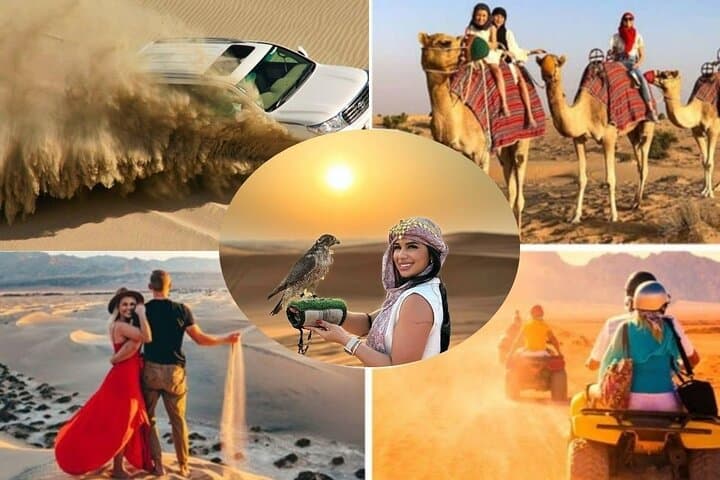 Doha Half-Day Desert Safari: Dune Bashing, Sandboarding & Camel Ride