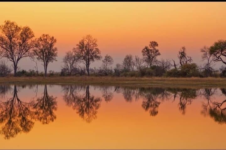 Khwai 2-Day Camping Safari: Mokoro, Game Drives & Bush Camping from Maun photo 4