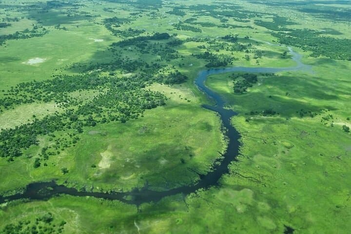Khwai 2-Day Camping Safari: Mokoro, Game Drives & Bush Camping from Maun photo 6