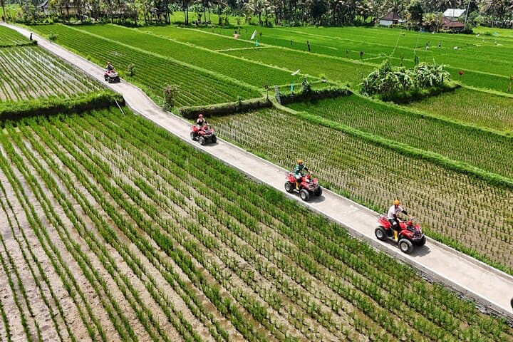 Ubud Gorilla ATV Adventure: 90-Min Quad Ride Through Rice Fields & Jungle photo 6