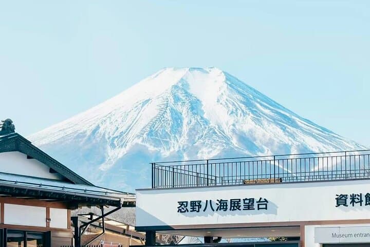 Mt Fuji and Hakone Day Tour: Cruise, Ropeway & Oshino Hakkai Guide