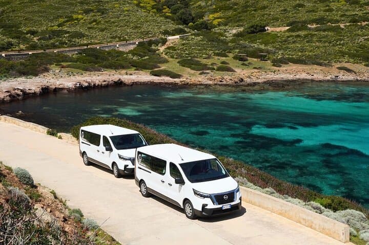 Asinara National Park Day Tour from Stintino — Minivan, Ferry & White Donkeys