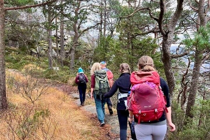 Hidden Nature Trail to Preikestolen — Quiet Hike Above Lysefjorden photo 2