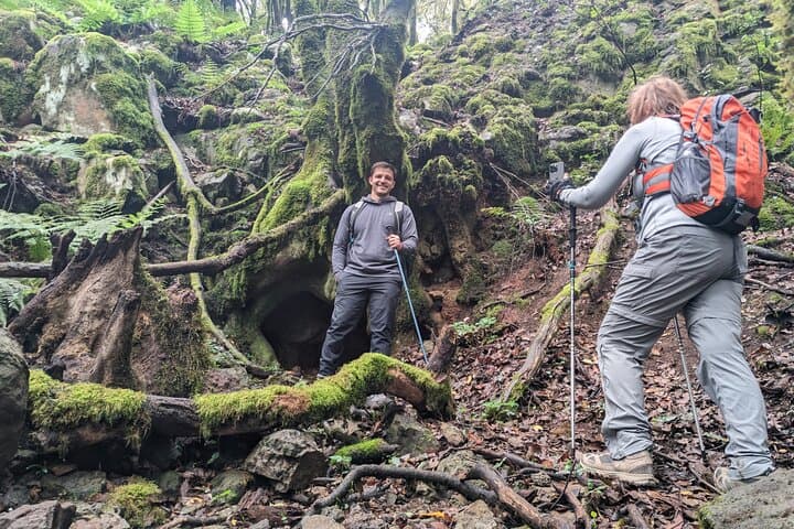 Hike the Enchanted Laurel Forest Above Masca — Guided Tenerife Day Trek with Pickup photo 2