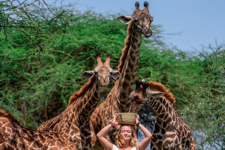 Serval Wildlife Safari and Materuni Waterfall Hike with Coffee Tour (Moshi) photo 1