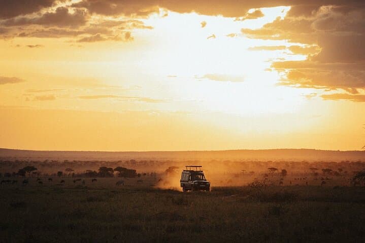3-Day Fly-In Safari to the Iconic Serengeti — Fly-In Wildlife Experience photo 5