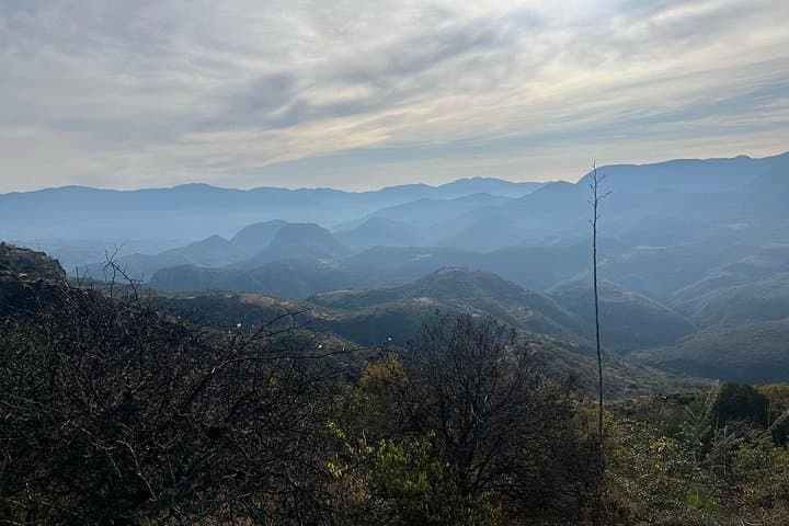 Presa Piedra Azul Birding: Private Half-Day Tour from Teotitlán del Valle photo 2