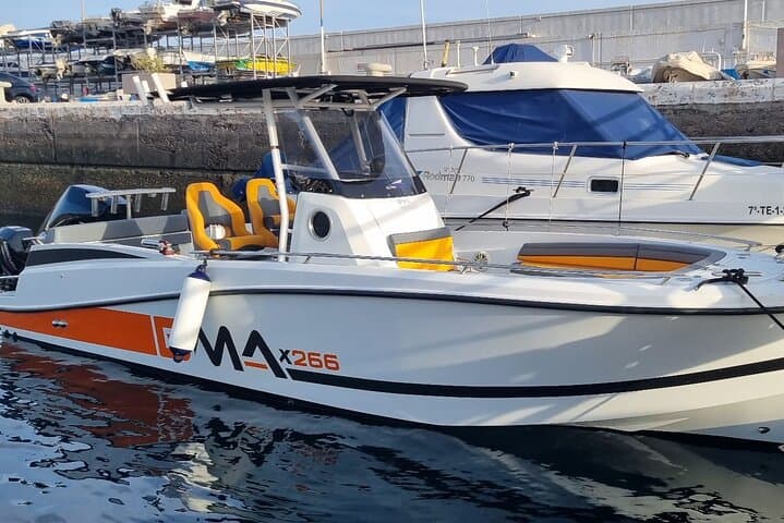 Private Boat Tour from Marina San Miguel — South Tenerife Whale Watching & Snorkel