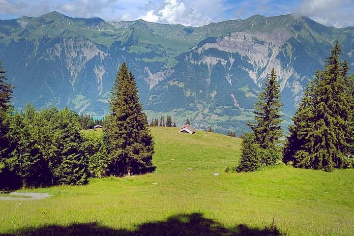 Axalp to Hinterburgseeli: Easy Walk and Lakeside Raclette near Interlaken photo 4