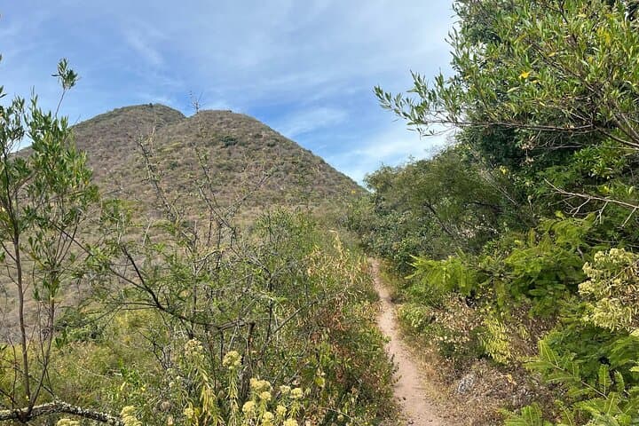 Private Half-Day Hike to Picacho Trailhead, Teotitlán del Valle (Oaxaca) photo 2