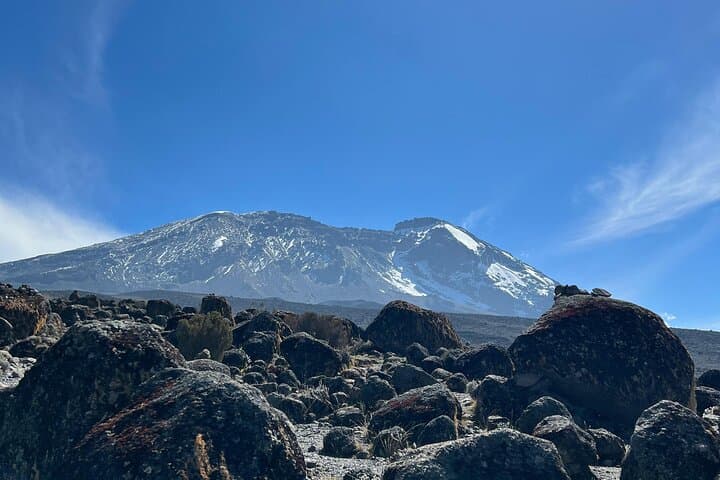 Summit Kilimanjaro: 7-Day Machame Route Private Trek to Uhuru Peak photo 2