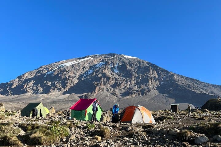 Summit Kilimanjaro: 7-Day Machame Route Private Trek to Uhuru Peak