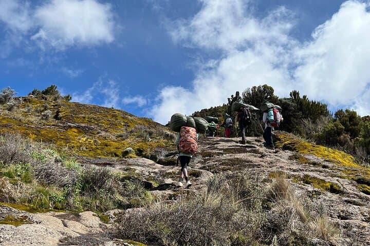 Summit Kilimanjaro: 7-Day Machame Route Private Trek to Uhuru Peak photo 6