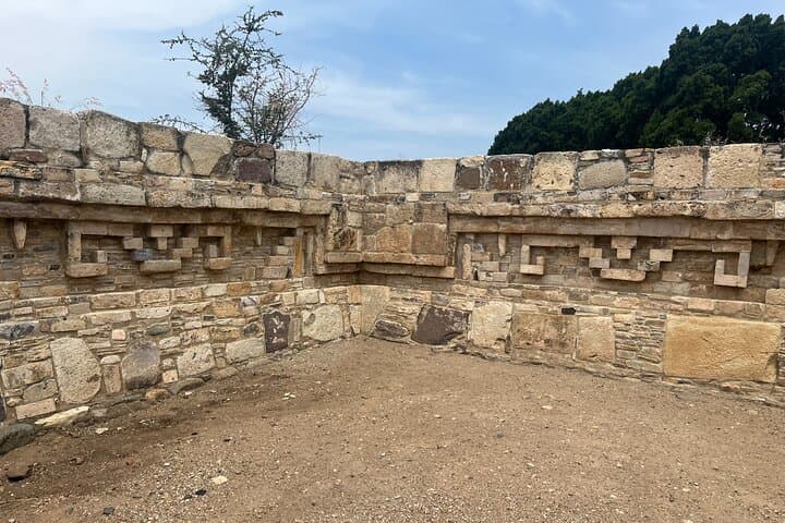 Private Birdwatching and Teotitlán Cultural Day Trip from Oaxaca