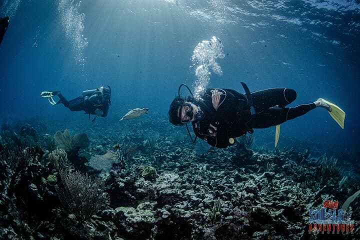 Two-Tank Dive at MUSA & Manchones Reef — Isla Mujeres Underwater Museum Experience photo 6
