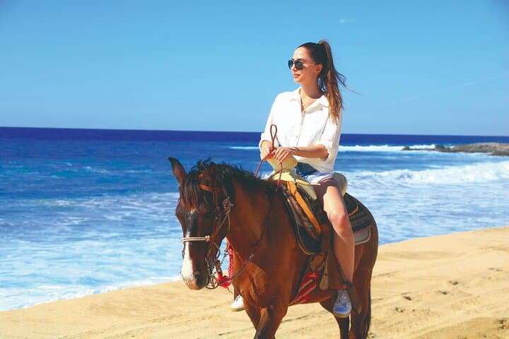 Cabo Beach UTV and Horseback Combo: Dunes, Pacific Coast & Tequila Tasting photo 6