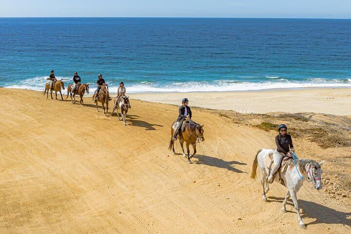 Cabo San Lucas Beach UTV Adventure Combo: Off-Road, Camel Ride & Horseback Experience photo 3