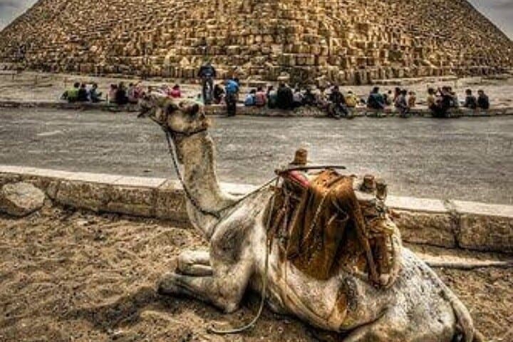 Giza Pyramids ATV & Camel Ride with Nile Dinner Cruise — Full-Day Cairo Experience photo 3
